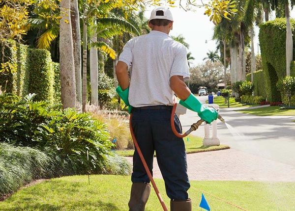 About Glenwood IA Pest Control